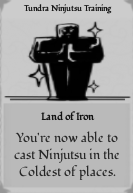 Tundra_Ninjutsu_Training.png